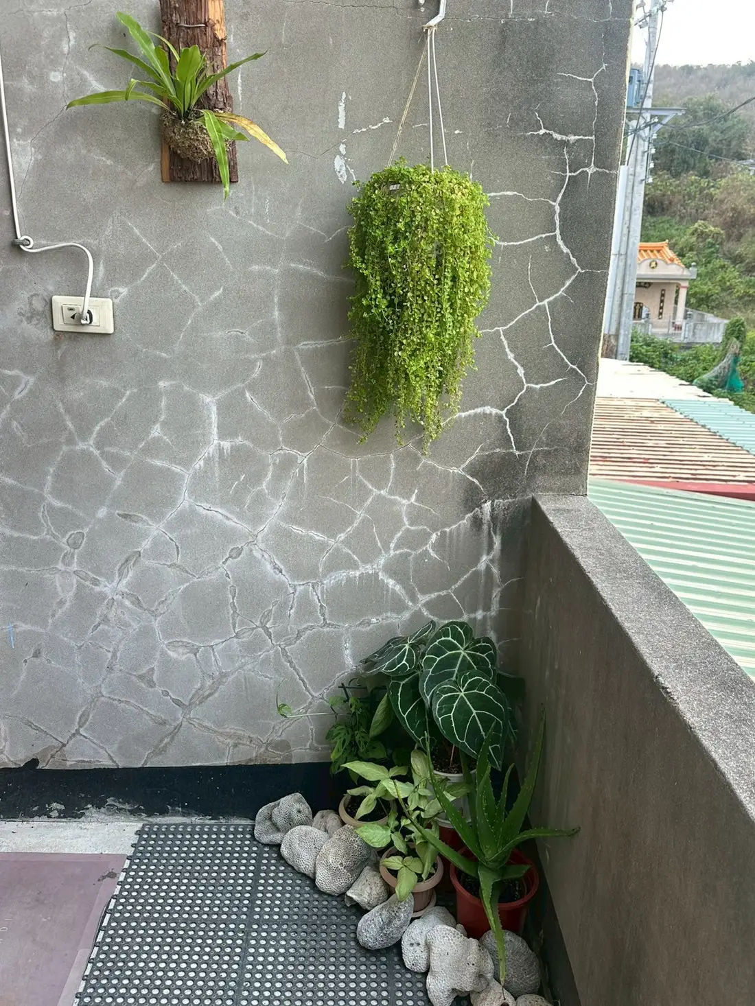 in.house — Green Balcony