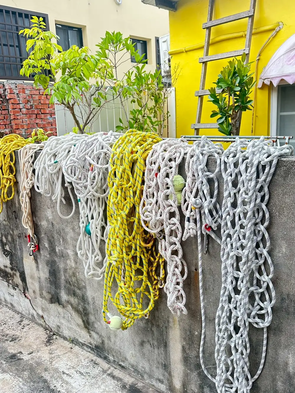 Safety lines